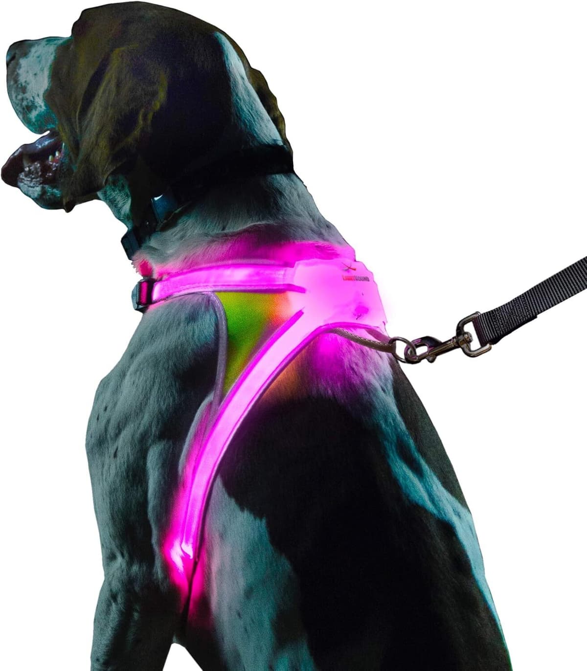 Noxgear LightHound Harness